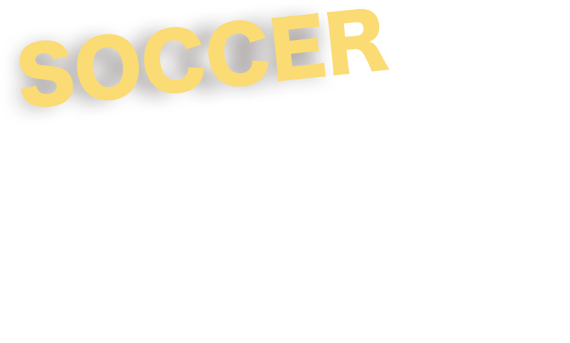 未来高等学校沖縄学習センター インターナショナルデザインアカデミー高等課程 スポーツコース サッカー専攻